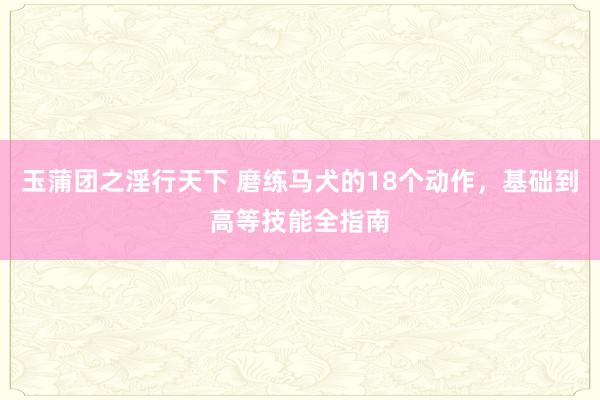 玉蒲团之淫行天下 磨练马犬的18个动作，基础到高等技能全指南