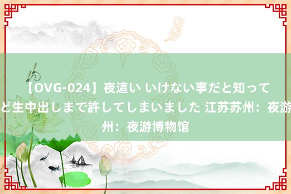 【OVG-024】夜這い いけない事だと知っていたけど生中出しまで許してしまいました 江苏苏州：夜游博物馆