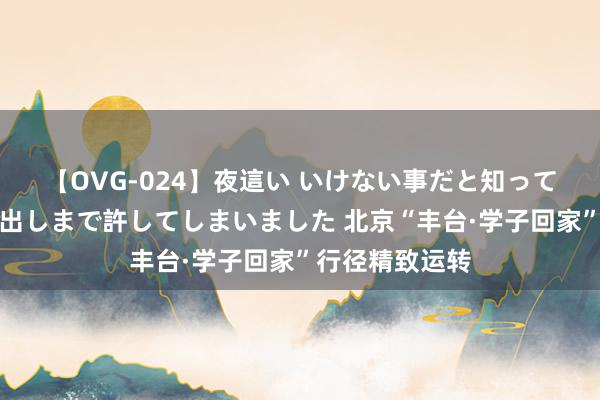 【OVG-024】夜這い いけない事だと知っていたけど生中出しまで許してしまいました 北京“丰台·学子回家”行径精致运转