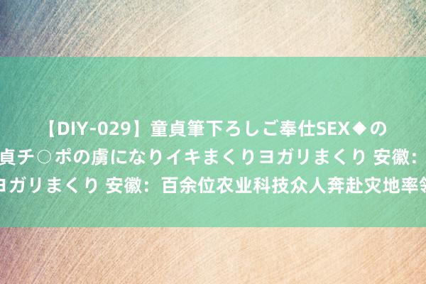 【DIY-029】童貞筆下ろしご奉仕SEX◆のはずが媚薬で一転！！童貞チ○ポの虜になりイキまくりヨガリまくり 安徽：百余位农业科技众人奔赴灾地率领坐褥