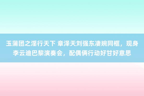 玉蒲团之淫行天下 章泽天刘强东凄婉同框，现身李云迪巴黎演奏会，配偶俩行动好甘好意思