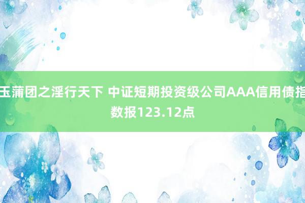 玉蒲团之淫行天下 中证短期投资级公司AAA信用债指数报123.12点