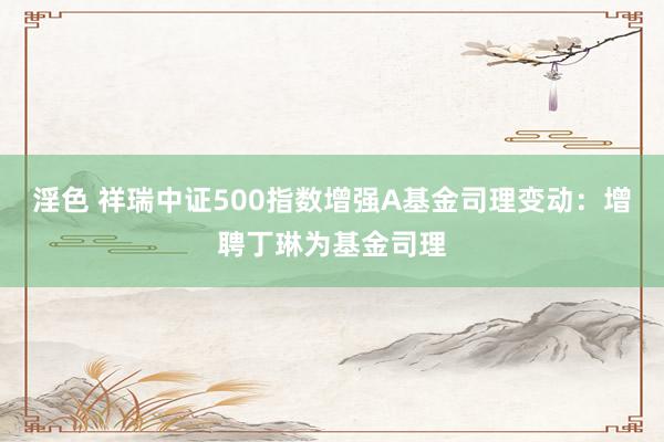 淫色 祥瑞中证500指数增强A基金司理变动：增聘丁琳为基金司理