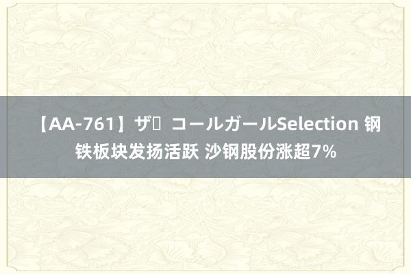 【AA-761】ザ・コールガールSelection 钢铁板块发扬活跃 沙钢股份涨超7%