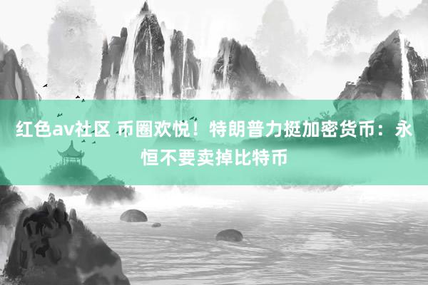 红色av社区 币圈欢悦！特朗普力挺加密货币：永恒不要卖掉比特币