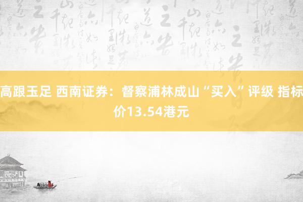 高跟玉足 西南证券：督察浦林成山“买入”评级 指标价13.54港元