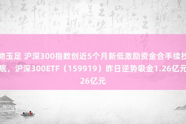 吻玉足 沪深300指数创近5个月新低激励资金合手续抄底，沪深300ETF（159919）昨日逆势吸金1.26亿元