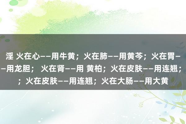 淫 火在心——用牛黄；火在肺——用黄芩；火在胃——用黄连；火在肝——用龙胆； 火在肾——用 黄柏；火在皮肤——用连翘；火在大肠——用大黄