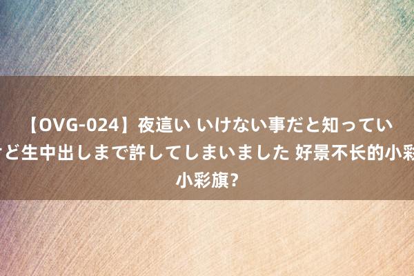 【OVG-024】夜這い いけない事だと知っていたけど生中出しまで許してしまいました 好景不长的小彩旗？