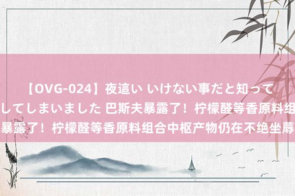 【OVG-024】夜這い いけない事だと知っていたけど生中出しまで許してしまいました 巴斯夫暴露了！柠檬醛等香原料组合中枢产物仍在不绝坐蓐