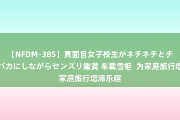 【NFDM-385】真面目女子校生がネチネチとチ●ポをバカにしながらセンズリ鑑賞 车载雪柜  为家庭旅行增添乐趣