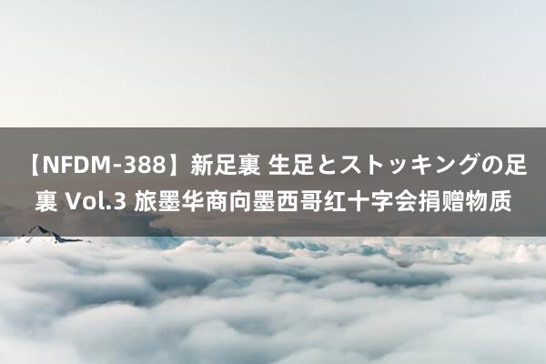 【NFDM-388】新足裏 生足とストッキングの足裏 Vol.3 旅墨华商向墨西哥红十字会捐赠物质