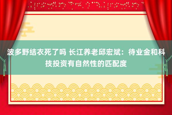 波多野结衣死了吗 长江养老邱宏斌：待业金和科技投资有自然性的匹配度