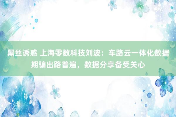 黑丝诱惑 上海零数科技刘波：车路云一体化数据期骗出路普遍，数据分享备受关心