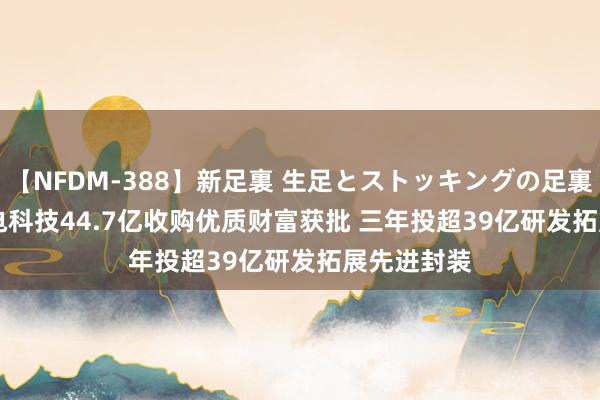 【NFDM-388】新足裏 生足とストッキングの足裏 Vol.3 长电科技44.7亿收购优质财富获批 三年投超39亿研发拓展先进封装