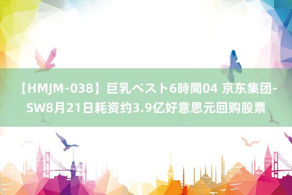 【HMJM-038】巨乳ベスト6時間04 京东集团-SW8月21日耗资约3.9亿好意思元回购股票