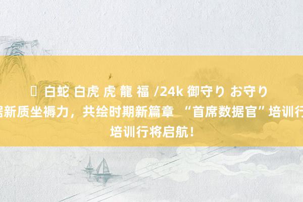 ✨白蛇 白虎 虎 龍 福 /24k 御守り お守り 解锁数据新质坐褥力，共绘时期新篇章  “首席数据官”培训行将启航！