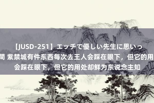 【JUSD-251】エッチで優しい先生に思いっきり甘えまくり4時間 紫禁城有件东西每次去王人会踩在眼下，但它的用处却鲜为东说念主知