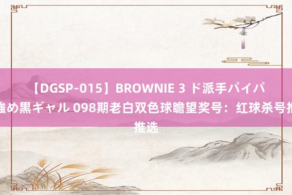 【DGSP-015】BROWNIE 3 ド派手パイパン強め黒ギャル 098期老白双色球瞻望奖号：红球杀号推选